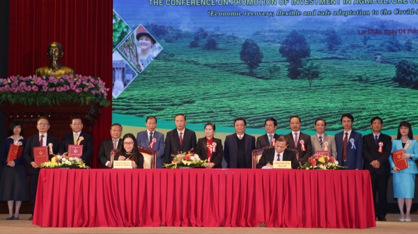 11 doanh nghiệp cam kết đầu tư vào nông nghiệp Lai Châu