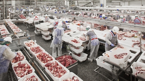 Nhập khẩu thịt lợn từ Nga tháng 11/2021 giảm 39%