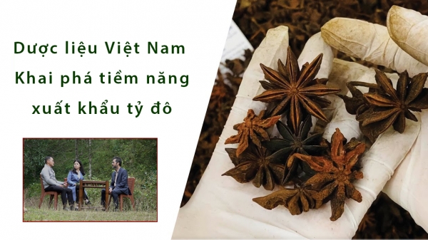 Dược liệu Việt Nam - Khai phá tiềm năng xuất khẩu tỷ đô
