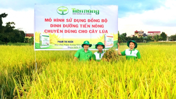 Tiến Nông ra mắt bộ sản phẩm dinh dưỡng ưu việt cho cây lúa