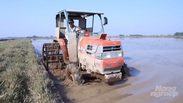 Trên 92% diện tích gieo cấy vụ đông xuân tại Nam Định đã có nước