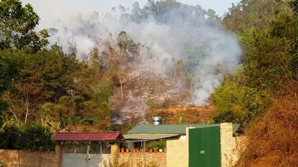 Đốt thực bì gây cháy hơn 2ha rừng ở Cao Bằng