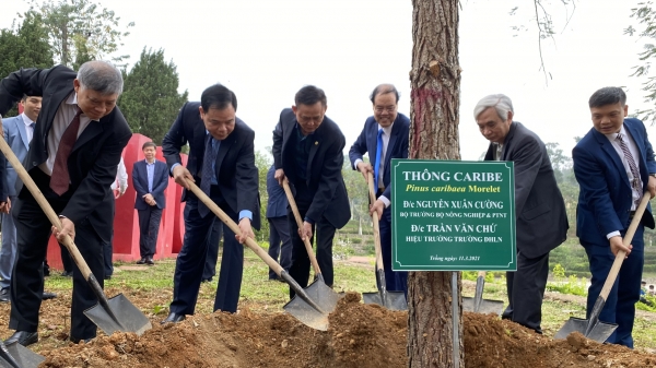 Bộ trưởng Nguyễn Xuân Cường phát động trồng cây tại Đại học Lâm nghiệp