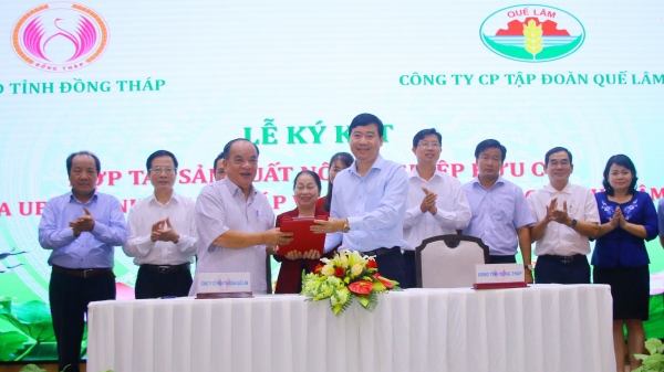 Tập đoàn Quế Lâm và Đồng Tháp ký hợp tác phát triển nông nghiệp hữu cơ