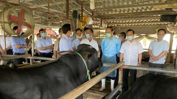 Ninh Bình phấn đấu 80% cơ sở chăn nuôi an toàn sinh học