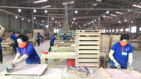 Ngành gỗ Bình Định tăng trưởng ngoạn mục nhờ thị trường Mỹ