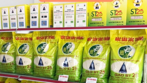 Làm mới nhãn hàng gạo ST25 để hạn chế hàng nhái