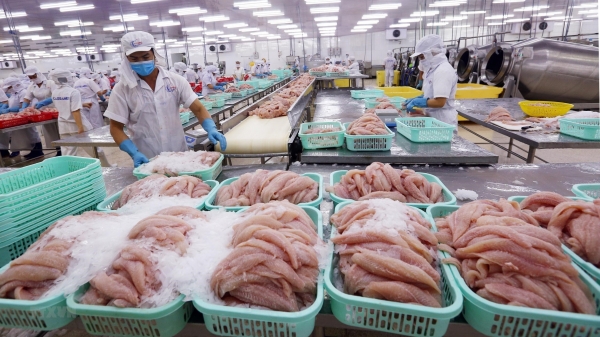 Thủy sản Việt Nam thích ứng quy định mới từ thị trường Trung Quốc