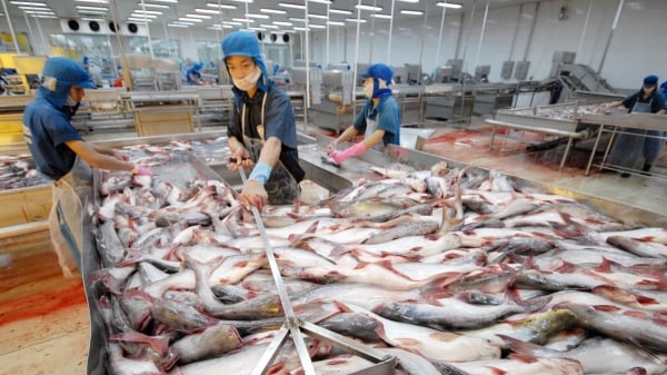 Trung Quốc giảm thuế nhiều mặt hàng thủy sản nhập khẩu