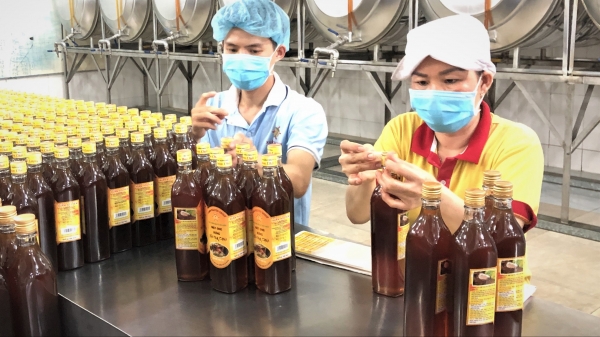 Hoa Kỳ áp thuế 400% sẽ tác động tiêu cực tới ngành nuôi ong Việt Nam
