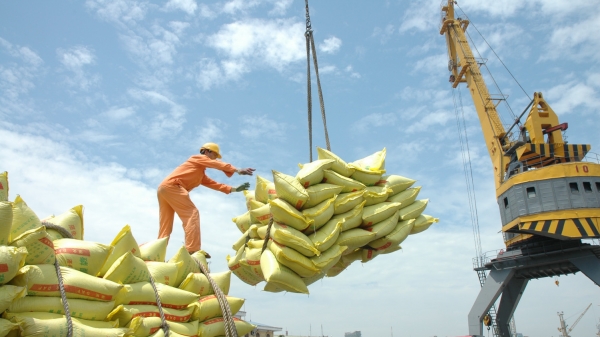 Xuất khẩu gạo tăng 45% tháng đầu năm 2022