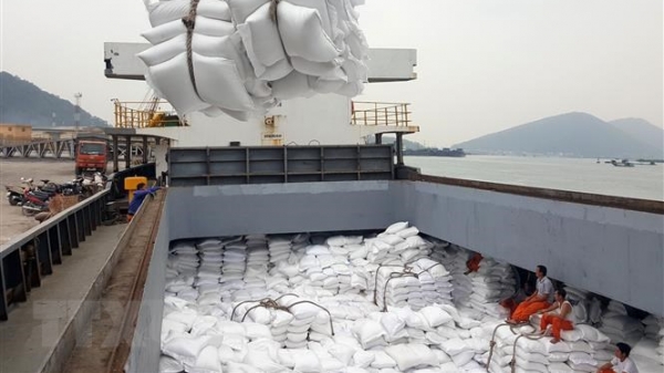 Giá gạo Việt Nam xuất khẩu thiết lập đỉnh giá mới 415 USD/tấn