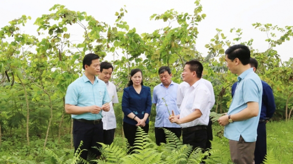 Bắc Ninh tái cơ cấu toàn diện các hợp tác xã dịch vụ nông nghiệp