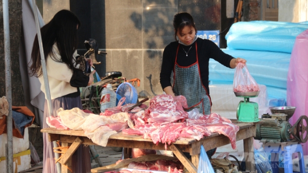 SafePORK đưa tỷ lệ nhiễm khuẩn Salmonella trên thịt lợn bán lẻ từ 52% xuống 24%