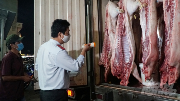 Kiểm soát thịt heo giết mổ thủ công từ các tỉnh đưa về TP.HCM