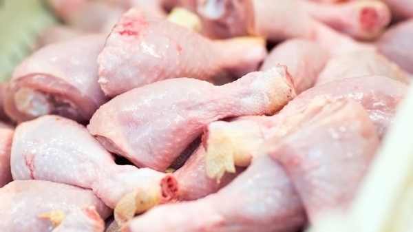 Việt Nam tiêu thụ 674 tấn thịt gà nhập khẩu mỗi ngày