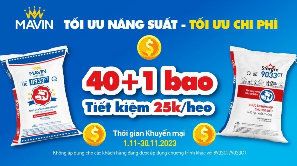 Mavin siêu khuyến mãi 'Mua cám heo tặng cám heo'