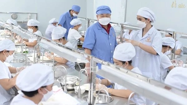 Doanh nghiệp Việt đầu tiên được Trung Quốc chấp thuận nhập khẩu chính ngạch tổ yến