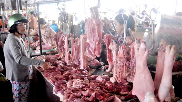 Mỗi năm Kiên Giang thiếu 20.000 tấn thịt