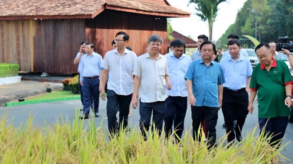 Bộ trưởng Lê Minh Hoan: 'Festival ngành hàng lúa gạo vì nông dân'
