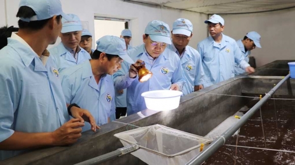 Quảng Ninh phòng, chống các loại dịch bệnh trong nuôi trồng thủy sản