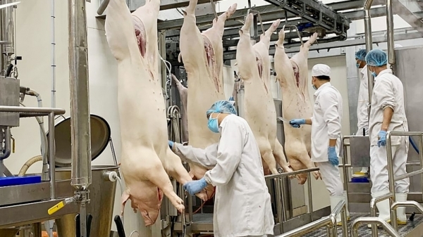 Hà Nội: Hoàn thiện mạng lưới giết mổ, cơ sở chế biến sản phẩm động vật
