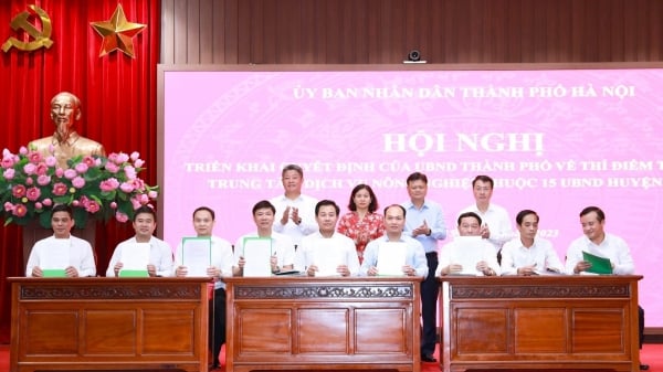 Hà Nội: Thí điểm thành lập Trung tâm Dịch vụ nông nghiệp tại 15 huyện