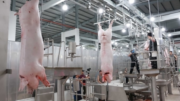 Phê duyệt Đề án Phát triển công nghiệp giết mổ, chế biến và thị trường sản phẩm chăn nuôi đến năm 2030