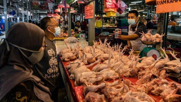 Malaysia dừng trợ giá thịt gà, khuyến cáo người dân không mua hàng tích trữ