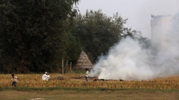 Nông dân Ấn Độ bất chấp vẫn đốt rơm rạ dù biết có hại sức khỏe