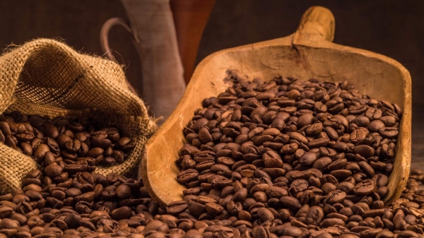 Hàn Quốc gia hạn miễn thuế đối với cà phê, ca cao nhập khẩu