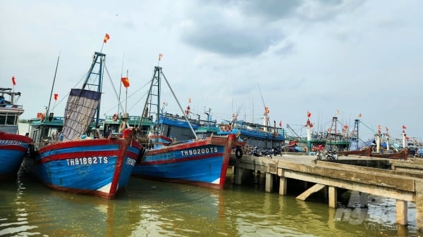 85 tàu cá Thanh Hóa có nguy cơ cao vi phạm khai thác IUU