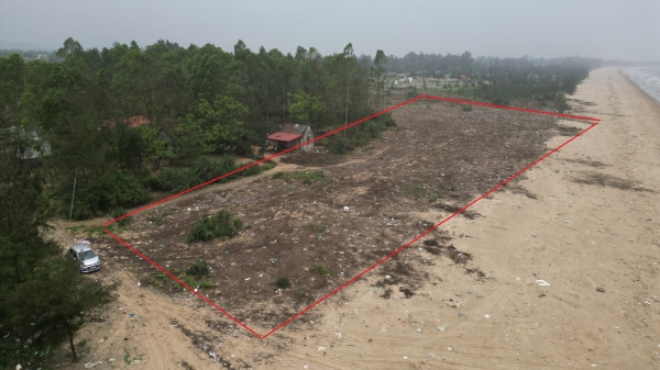 Dấu hiệu mua bán đất rừng trái phép tại thị xã Nghi Sơn