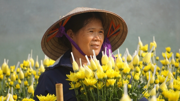 'Tam nông' Thanh Hóa - 1 năm nhìn lại: [Bài 3] Một năm thấm đẫm mồ hôi, nước mắt