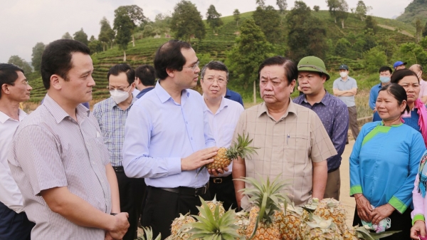 Lào Cai xây dựng hệ sinh thái kinh tế nông thôn