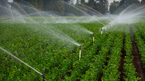 Nâng cao chất lượng sử dụng nước trong sản xuất nông nghiệp