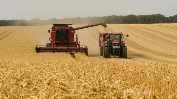 WTO đề nghị không cấm và hạn chế xuất khẩu lương thực