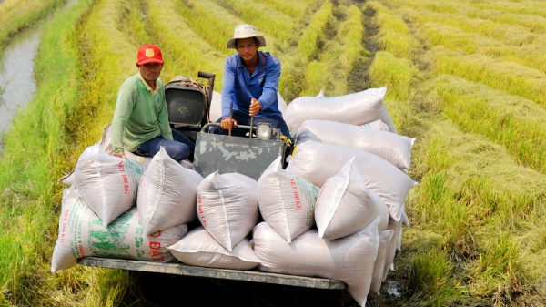 Thái Lan mong muốn hợp tác với Việt Nam cải thiện thu nhập nông dân