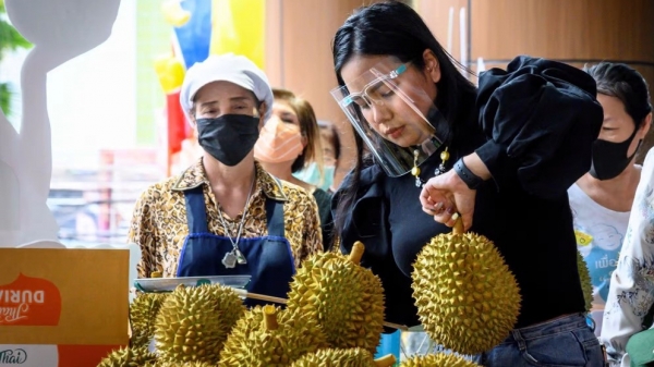 Sầu riêng Việt Nam - Thái Lan cạnh tranh khốc liệt tại thị trường Trung Quốc