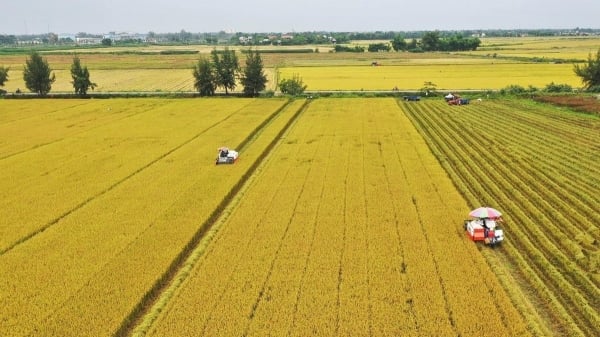 Việt Nam mong muốn trở thành cầu nối thương mại nông sản thế giới