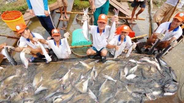 Đồng Tháp lần đầu tổ chức 'Lễ hội cá tra - Vươn ra biển lớn'