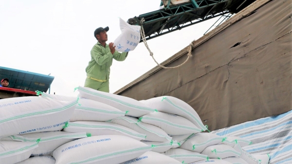 Xuất khẩu gạo dự báo vượt kế hoạch cả sản lượng và giá trị