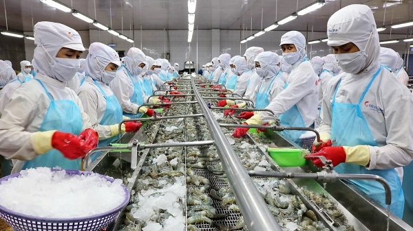 Tôm Việt Nam xuất khẩu sang Mỹ giảm 40%
