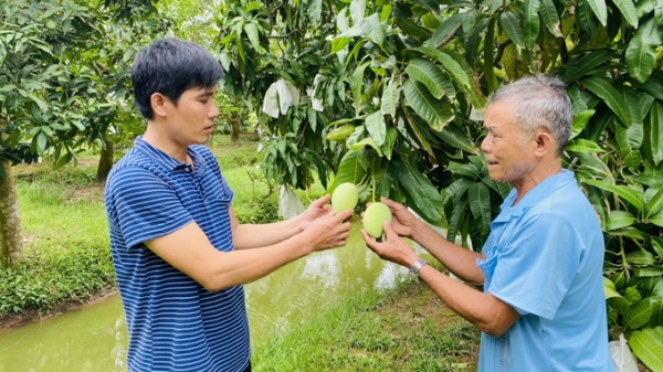 Việt Nam đề nghị Hàn Quốc công nhận thêm vùng trồng xoài xuất khẩu