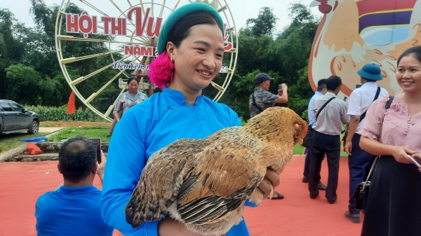 Lần đầu Quảng Ninh có danh hiệu Hoa hậu gà Tiên Yên