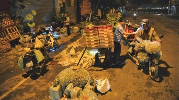 Chợ đêm hơn 20 năm chuyên bán côn trùng ở Sài Gòn