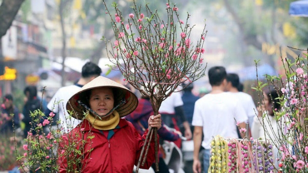 Nhộn nhịp chợ hoa lâu đời nhất Hà Nội