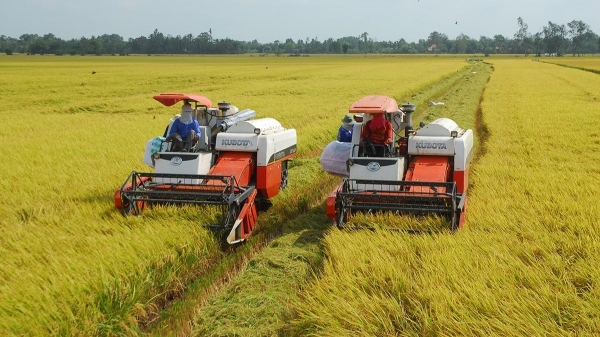 Việt Nam dẫn đầu về cách mạng nông nghiệp xanh