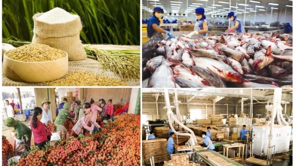 Nông sản giúp Việt Nam xuất siêu cao nhất 10 năm