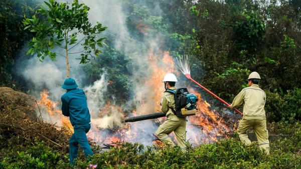 Cả nước có 262 điểm cảnh báo cháy rừng cấp 4, cấp 5